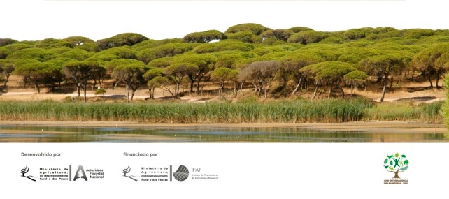dia da árvore - reflorestação - famalicão - guimarães - nações unidas - ambiente