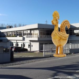 Vila Nva Online | Barcelos canta de galo em Famalicão Cidade Têxtil