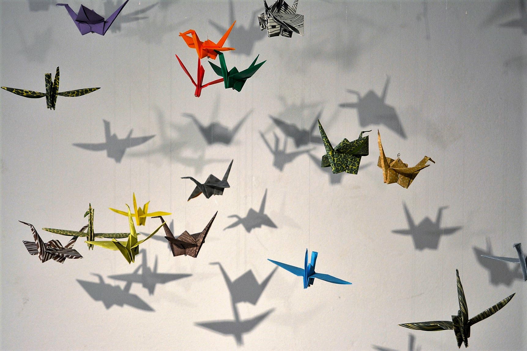 Orizuru? Origami envolve famílias e escolas em trabalho artístico - Famalicão