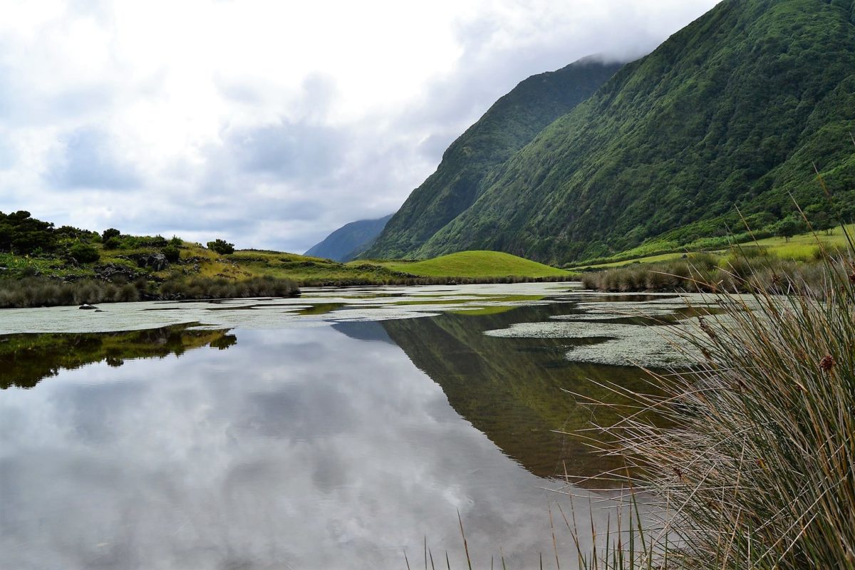 natureza - ambiente - sustentabilidade - desenvolvimento - biodiversidade
