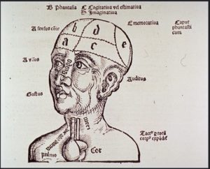 corpo - homem - fisiologia - comportamento - cérebro - história - neurónio - neurónios - comportamento - comportamentos - ciência - história - evolução