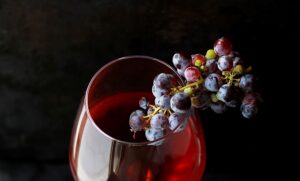 vinhos portugueses - exportações - vinha - viticultura - portugal