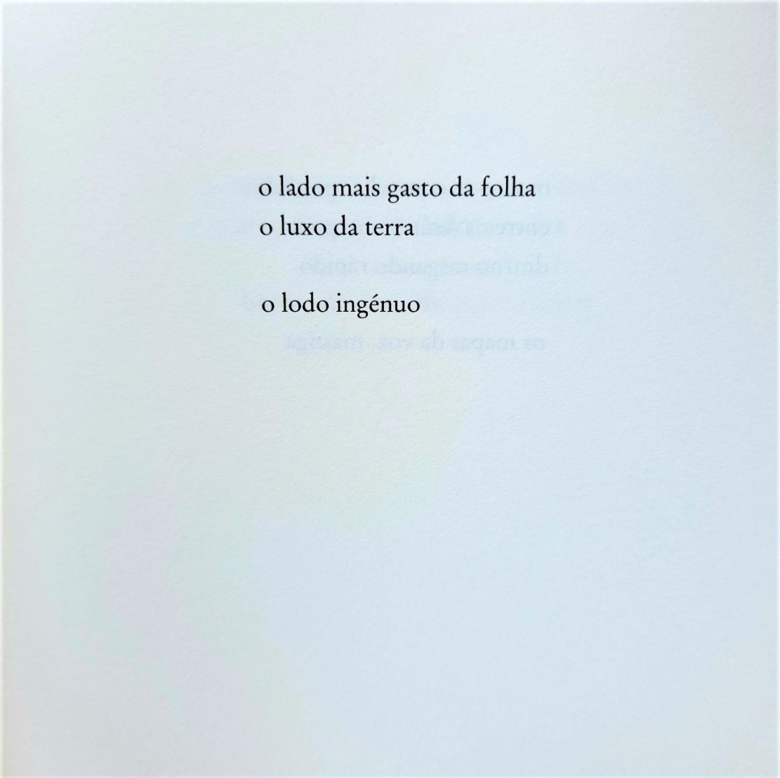 diogo martins - manual dos dias cavos - emanuel jorge botelho - literatura - poesia - ensaio - açores
