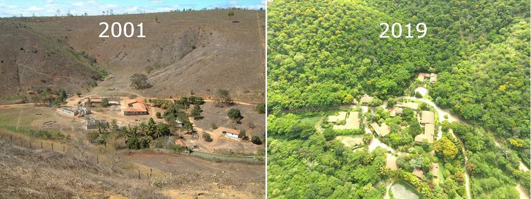 Minas Gerais, Brasil - antes e depois - Instituto Terra