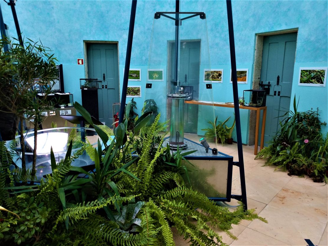 centro ciência viva - vila do conde - biodiversidade - exposição - fotografia - fernando ferreira 