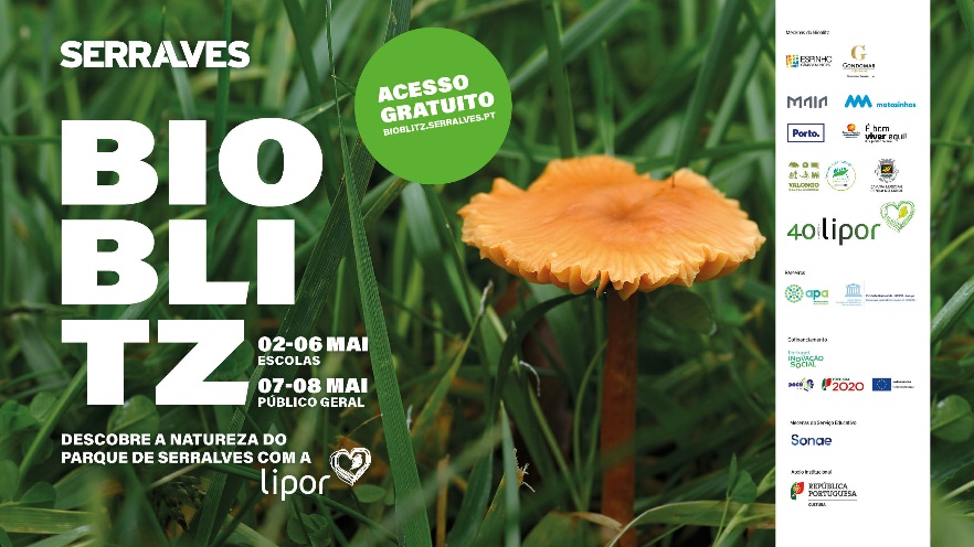 bioblitz - serralves - lipor - porto - planeta b