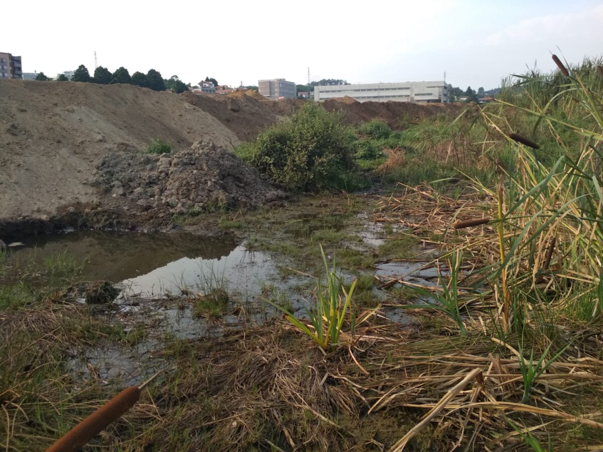 urbanismo - pan - urbanização - gavião - dst - obras - linha de água - seca - tribunal - famalicão