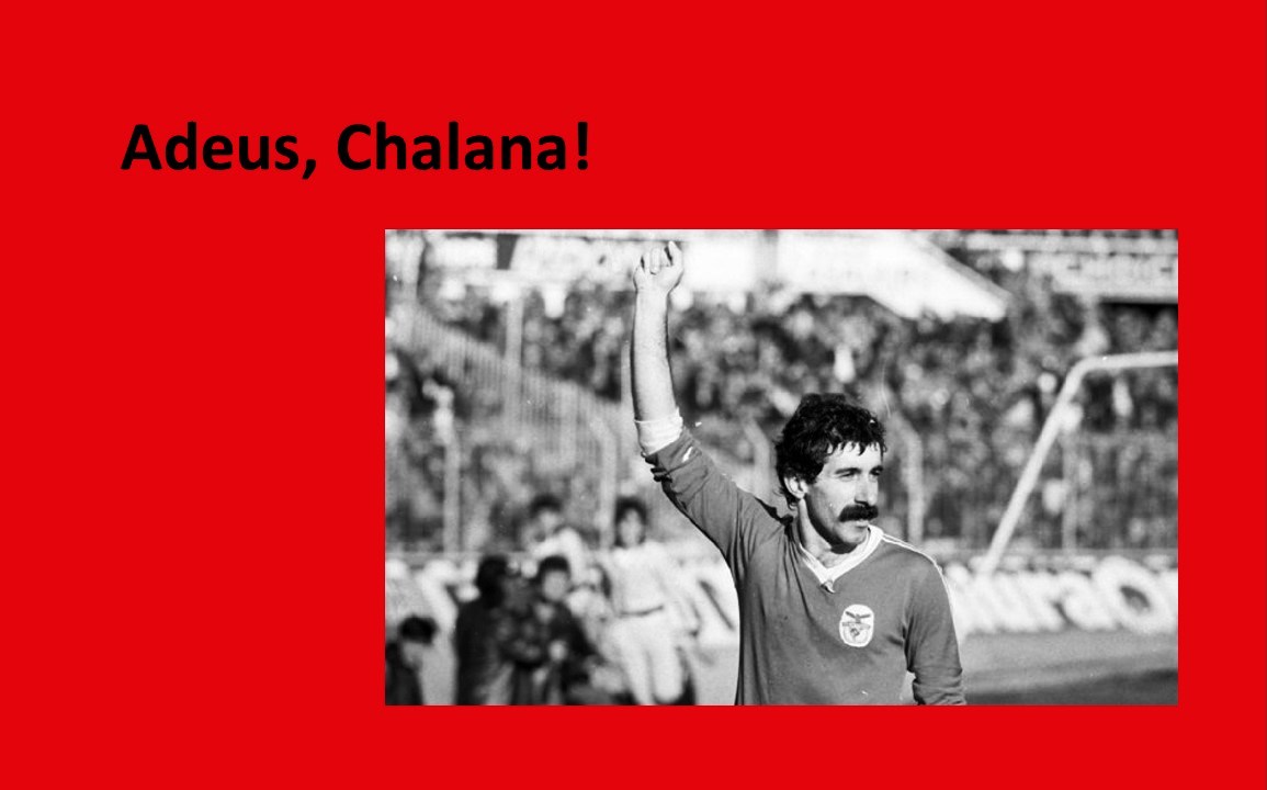 fernando chalana - benfica - bordéus - portugal