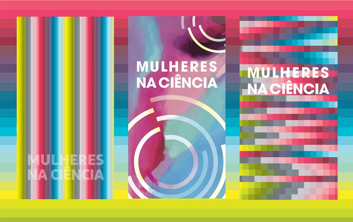 mulheres - ciência - investigadoras - pesquisadoras - mulheres na ciência - elvira fortunato - 2016 - 2019 - 2021