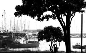 póvoa de varzim - pesqueiro - pesca - saudade - memória - emigração - ausência - imortalidade - mortalidade - escritor - escrita - escrever - poesia - literatura
